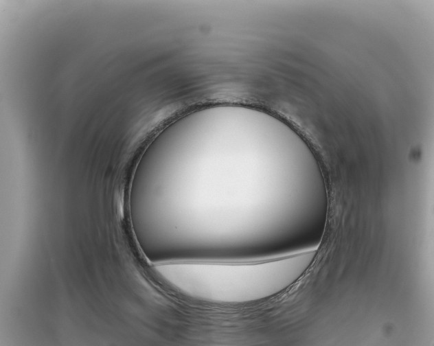 X0000095120062200712070953
