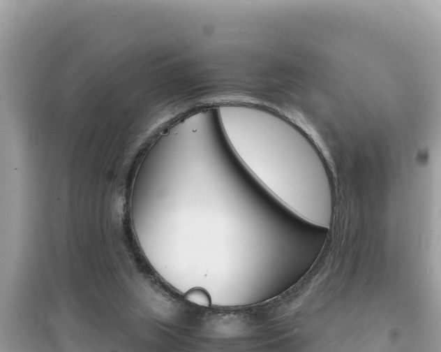 X0000095120063200712070953