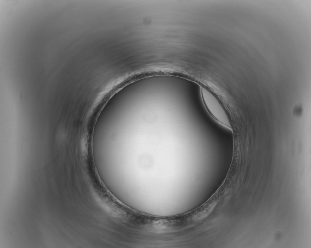 X0000095120064200712070953