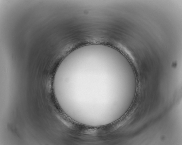 X0000095120065200712070953