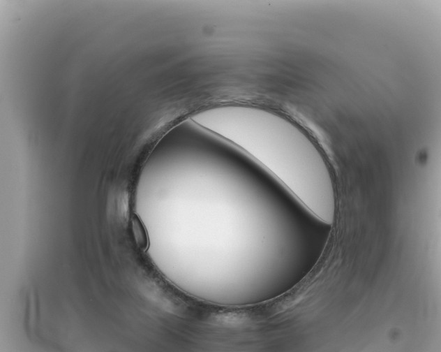 X0000095120067200712070953