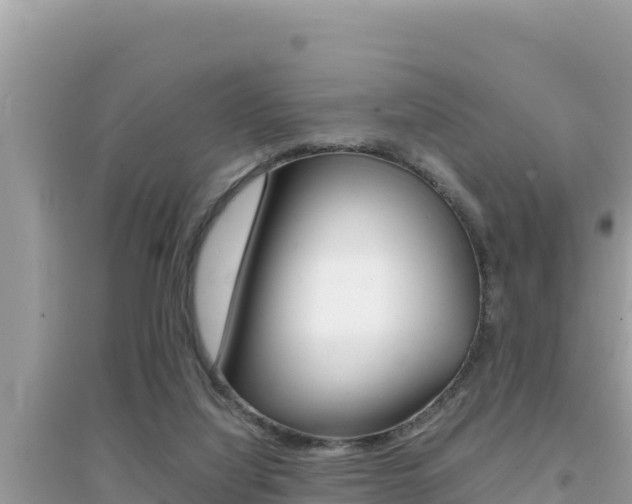 X0000095120068200712070953