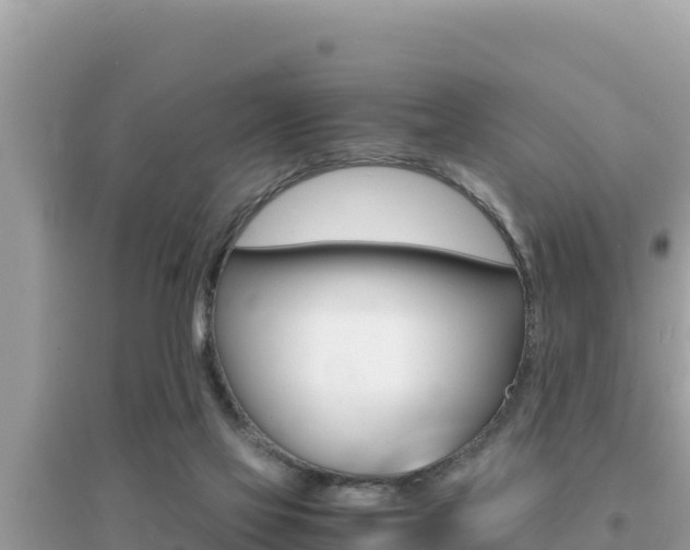 X0000095120069200712070953