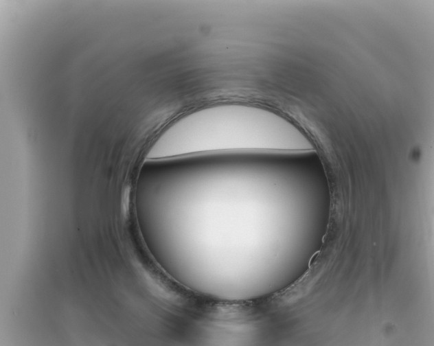 X0000095120070200712070953