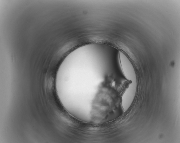 X0000095120071200712070953