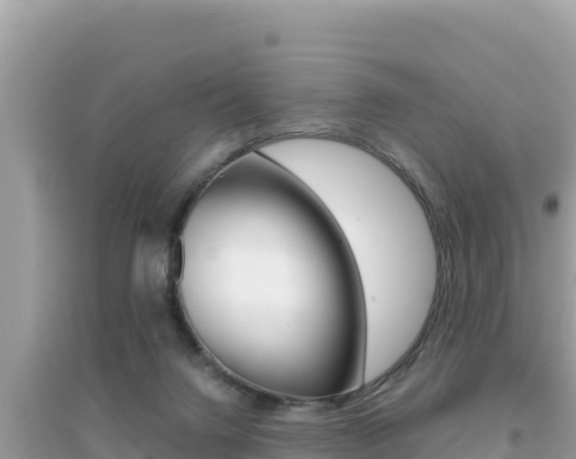 X0000095120072200712070953