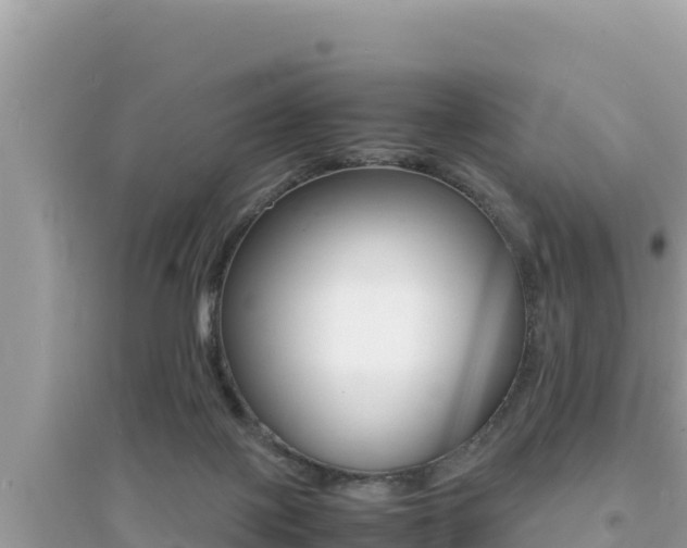 X0000095120075200712070953