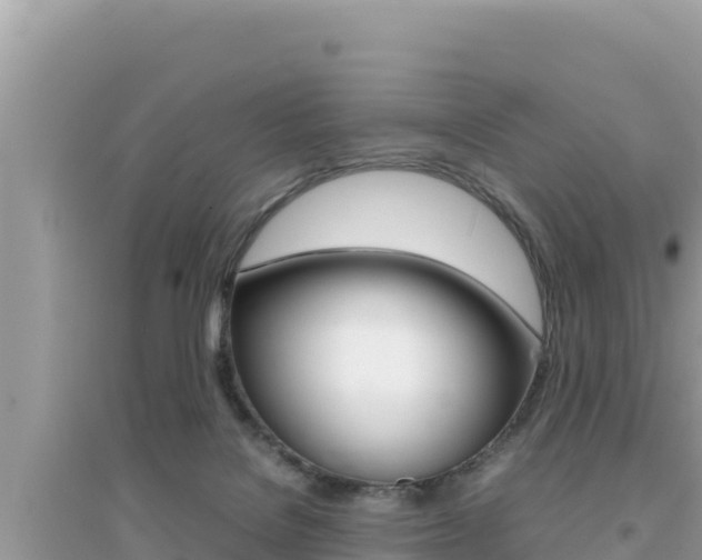 X0000095120076200712070953