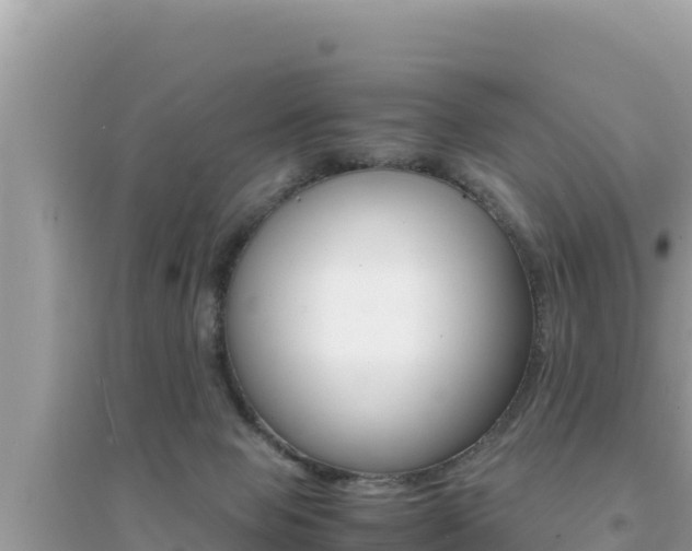 X0000095120077200712070953