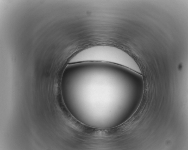 X0000095120080200712070953