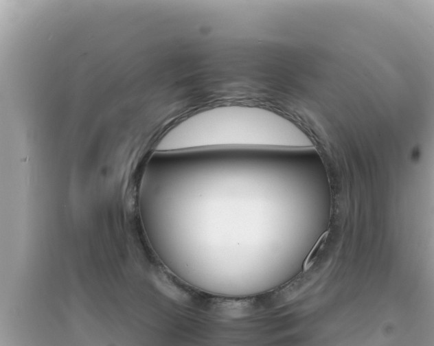 X0000095120081200712070953