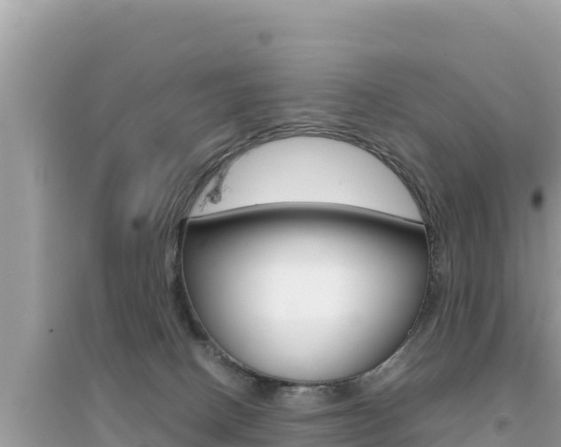 X0000095120082200712070953
