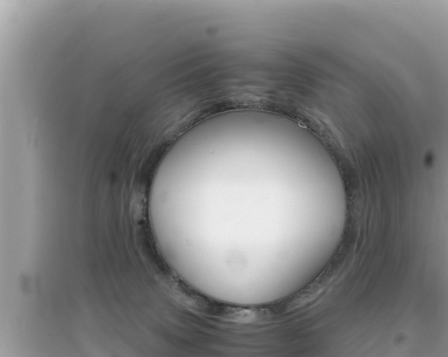 X0000095120083200712070953