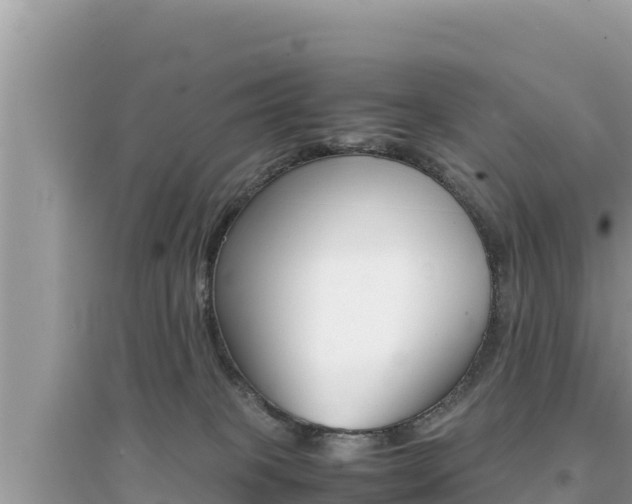 X0000095120085200712070953