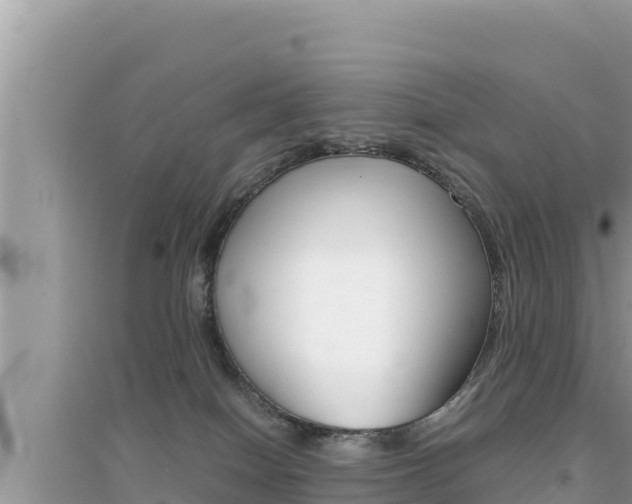 X0000095120086200712070954
