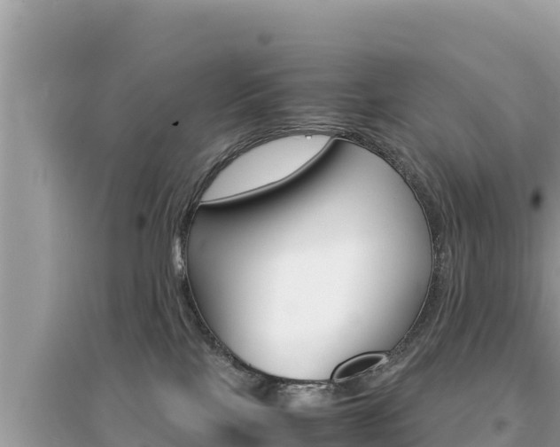 X0000095120089200712070954