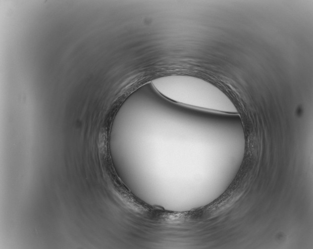 X0000095120092200712070954