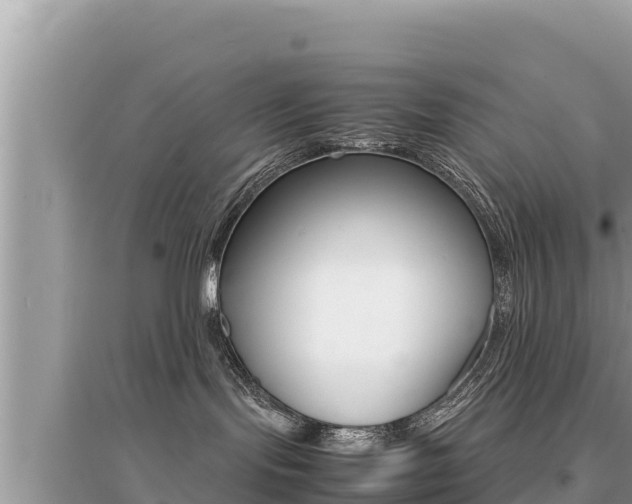 X0000095120095200712070954