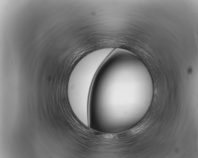 X0000095120096200712070954