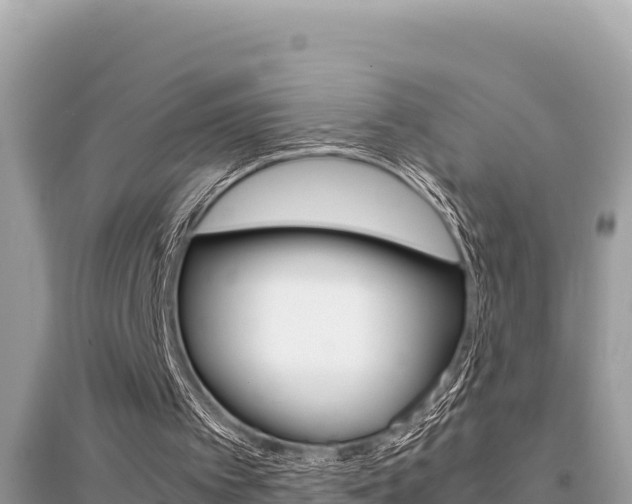X0000095120097200712070953