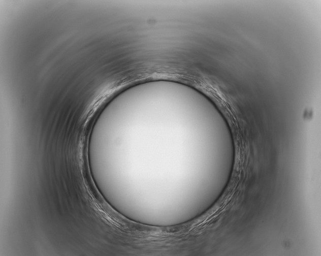 X0000095120098200712070953