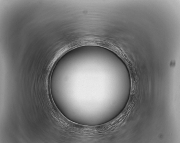 X0000095120099200712070953