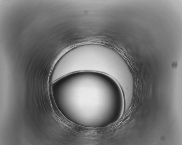 X0000095120100200712070953
