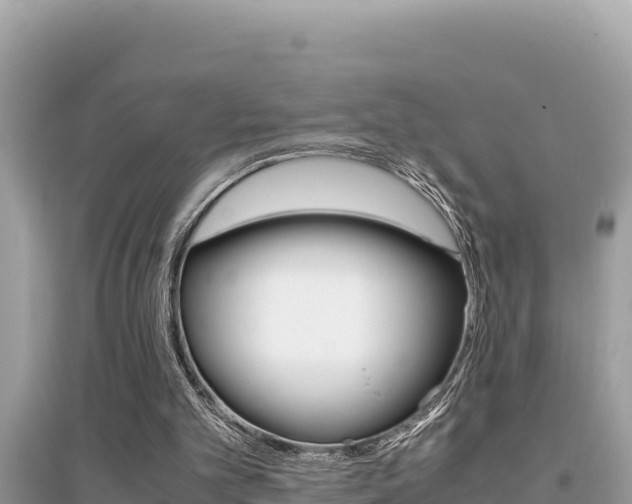 X0000095120101200712070953