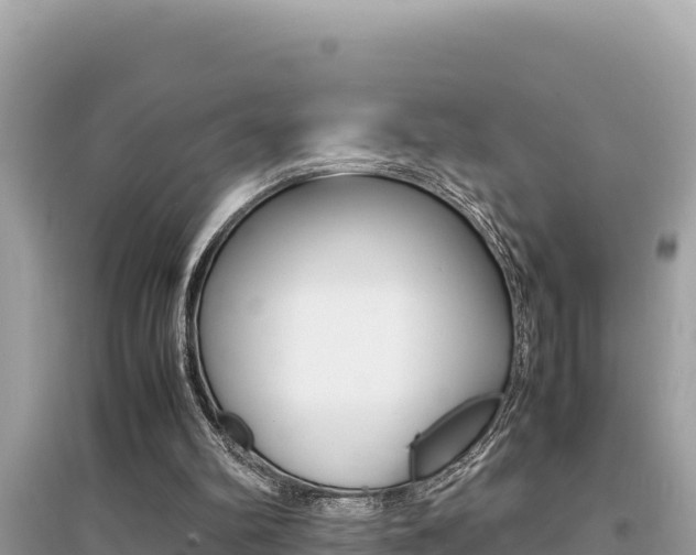 X0000095120102200712070953