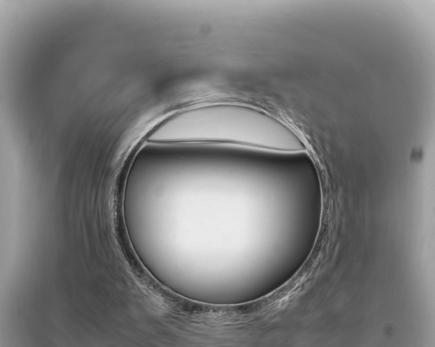 X0000095120103200712070953