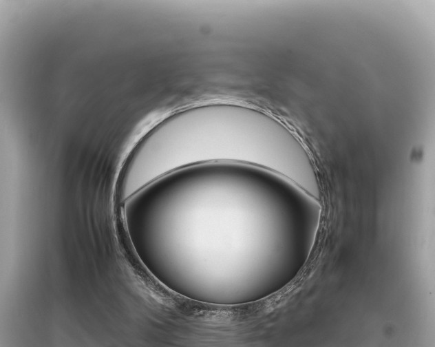 X0000095120104200712070953