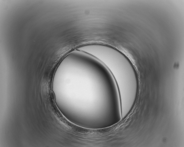 X0000095120105200712070953