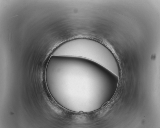 X0000095120106200712070953