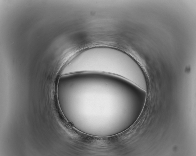 X0000095120107200712070952