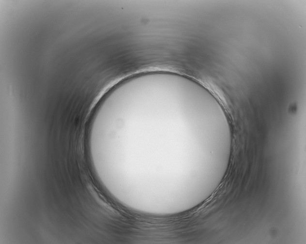 X0000095120108200712070952