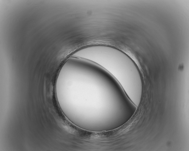 X0000095120109200712070952