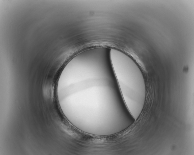 X0000095120110200712070952