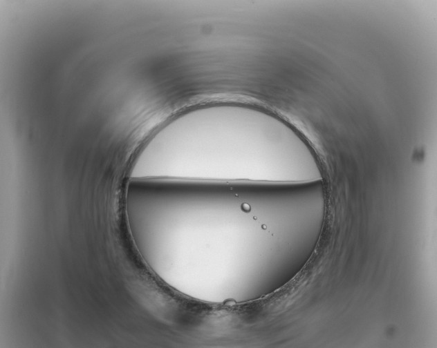 X0000095120111200712070952