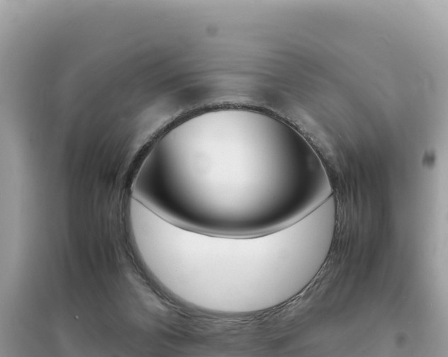 X0000095120112200712070952