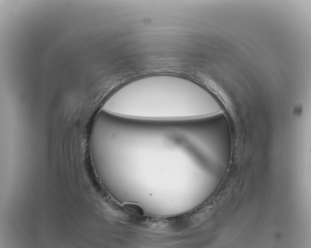 X0000095120113200712070952