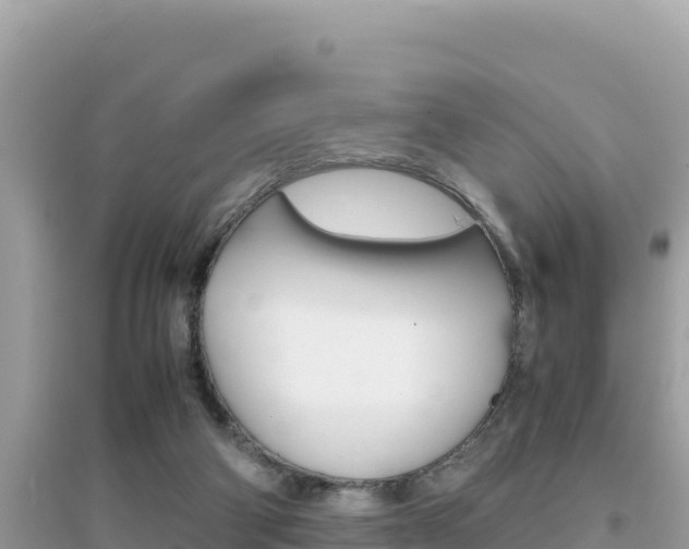 X0000095120114200712070952