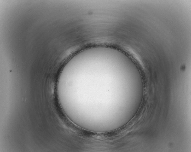 X0000095120115200712070952