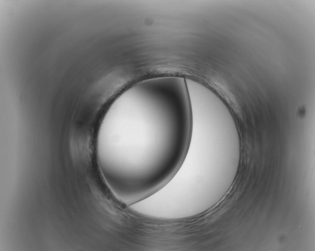 X0000095120116200712070952