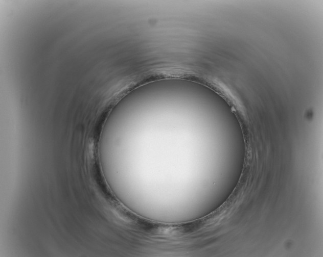 X0000095120117200712070952