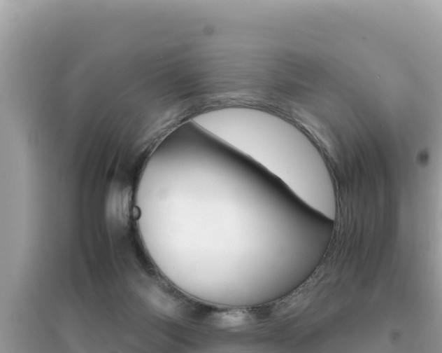 X0000095120118200712070952