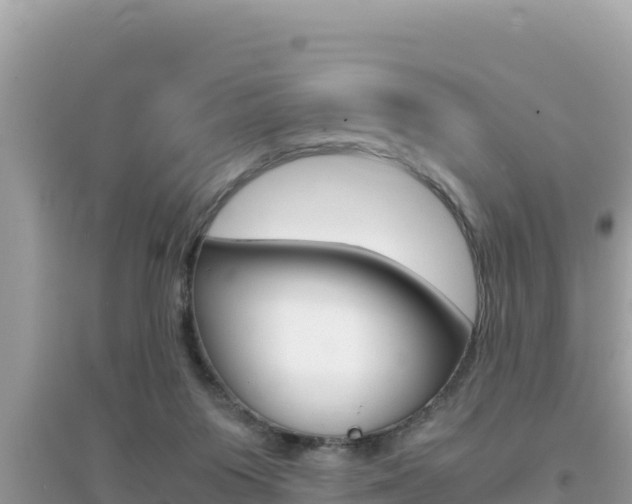 X0000095120119200712070952
