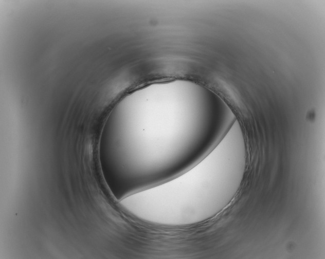 X0000095120120200712070952