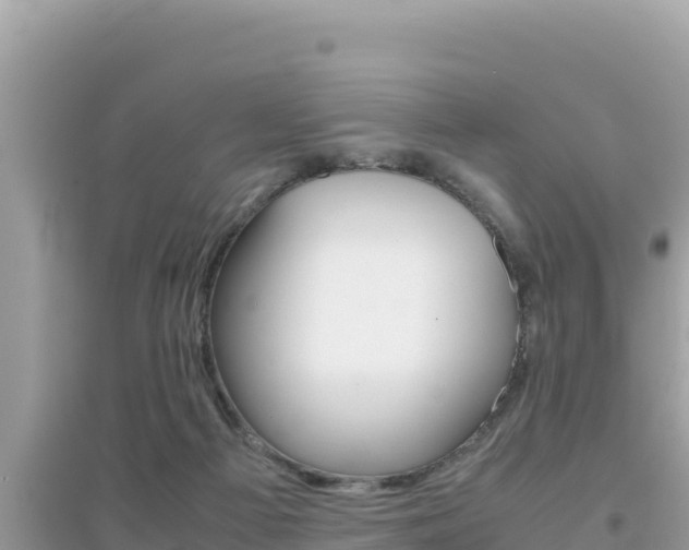 X0000095120121200712070952