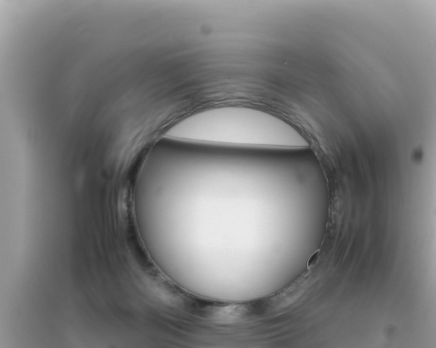 X0000095120122200712070952