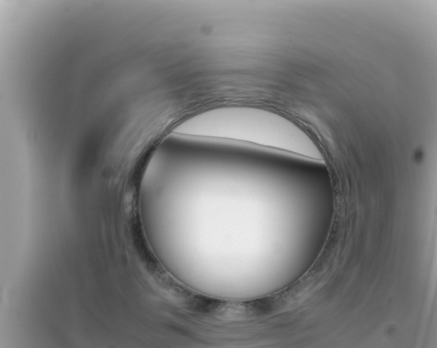 X0000095120123200712070952